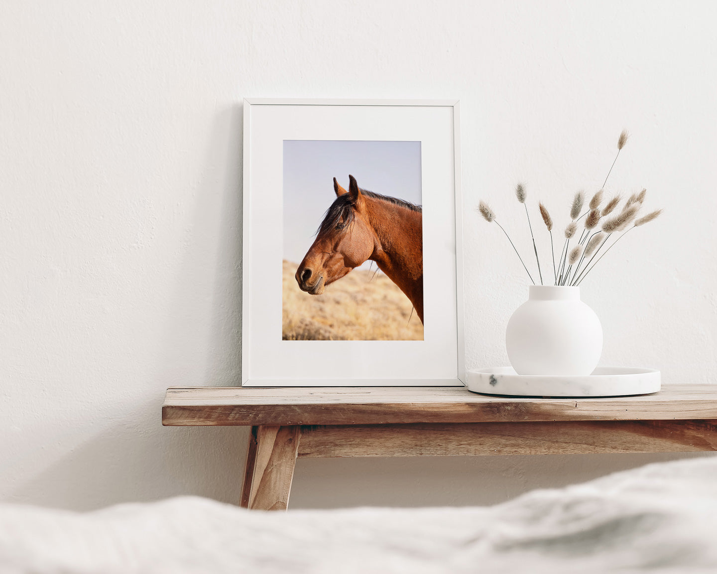Wild Bay Horse Profile