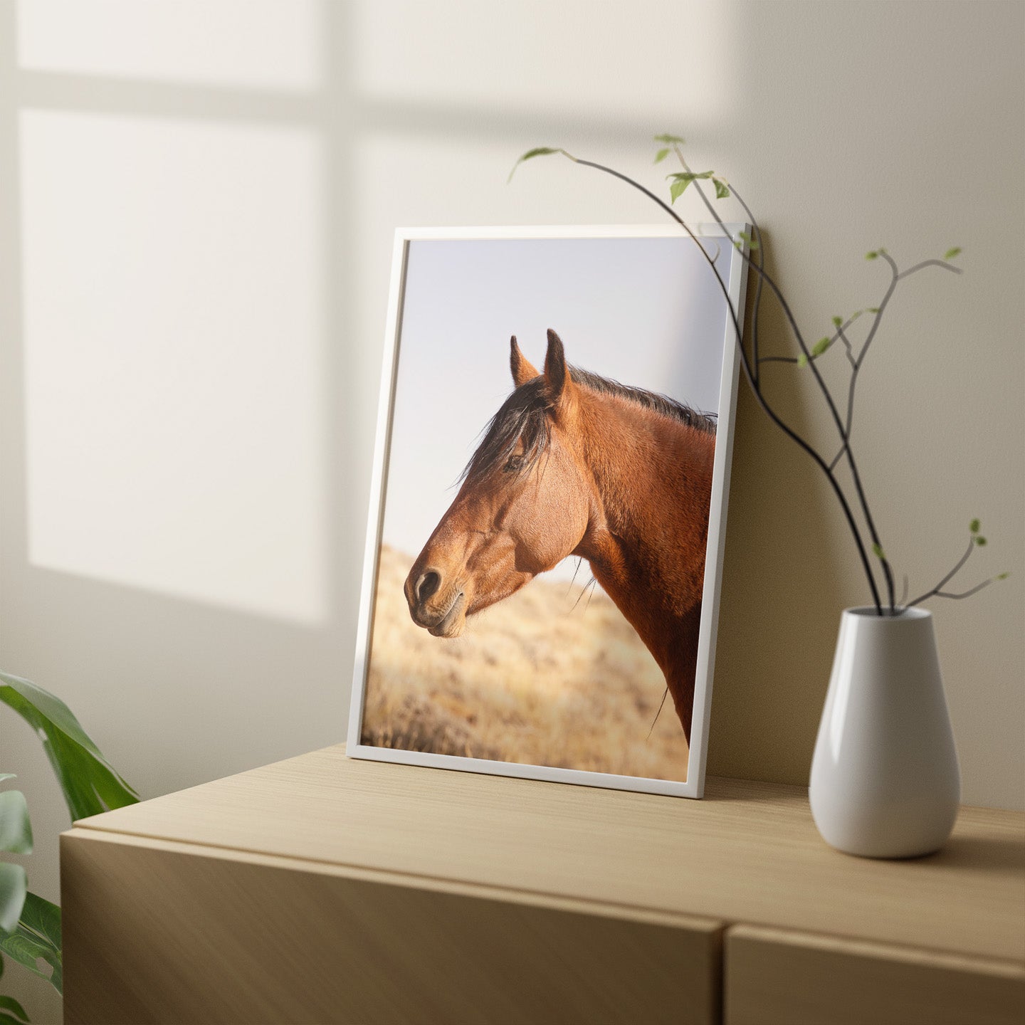 Wild Bay Horse Profile