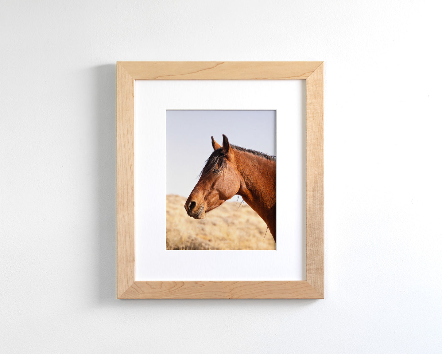Wild Bay Horse Profile