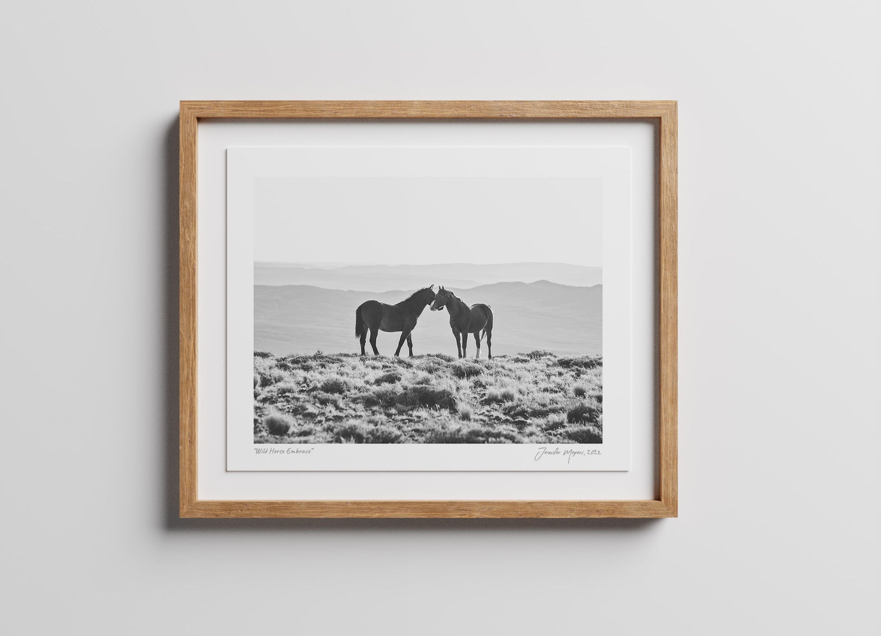Wild Horse Embrace