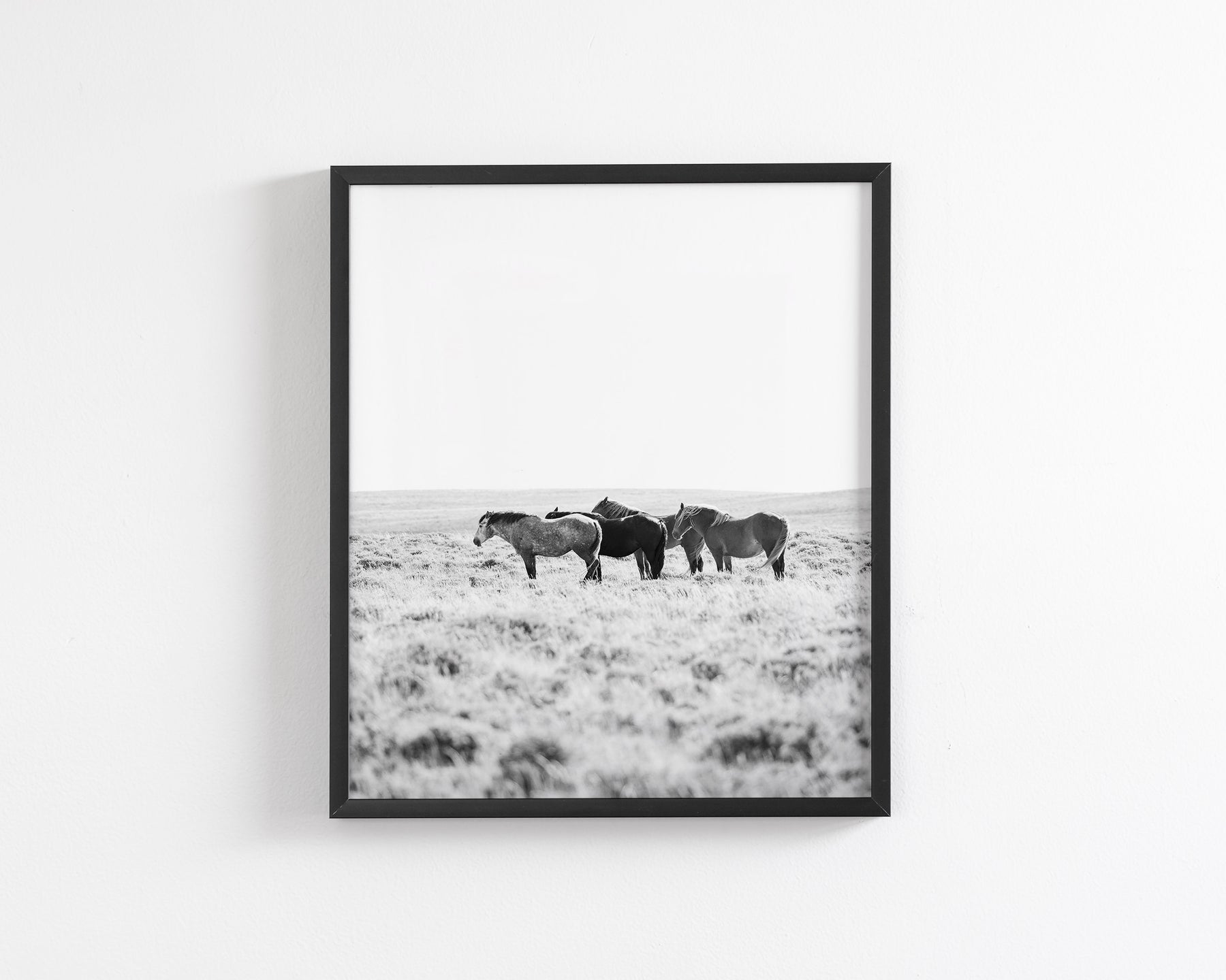 Wild Rest