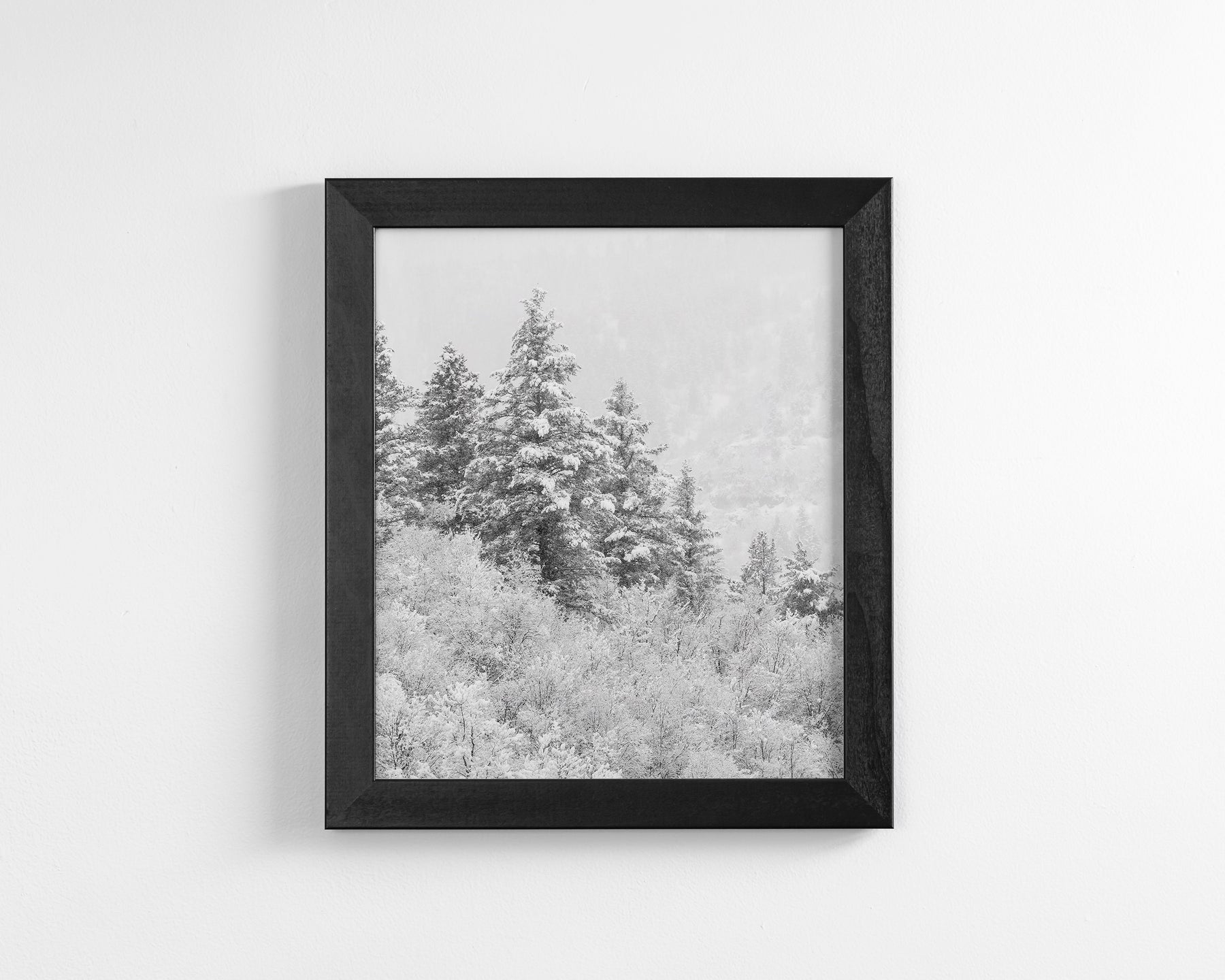 Winter Refresh
