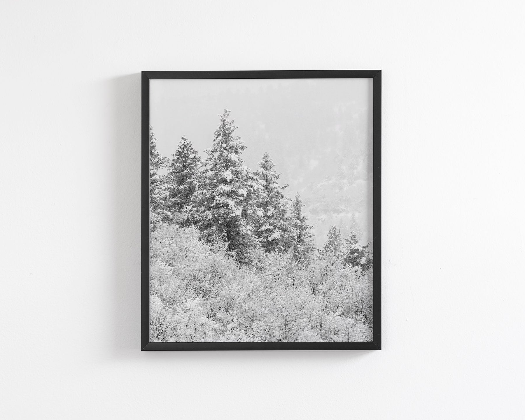 Winter Refresh