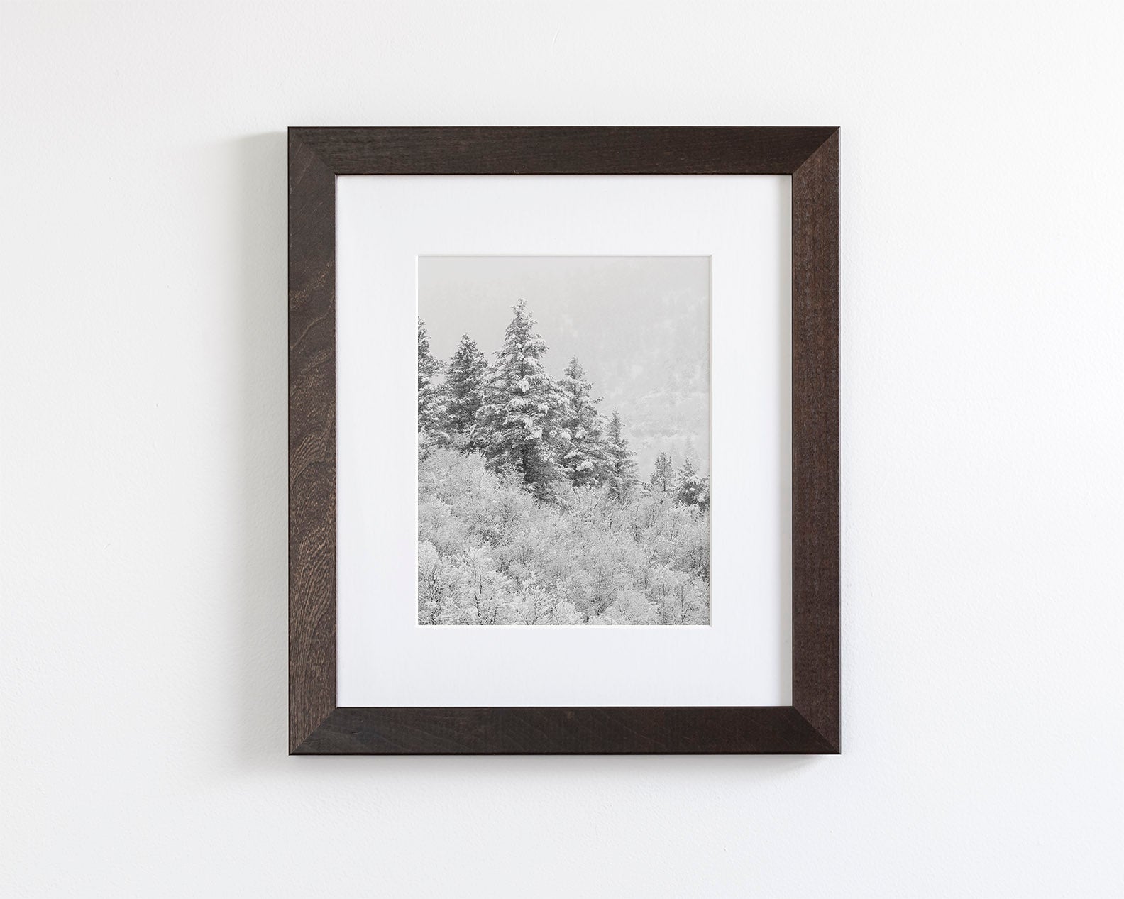 Winter Refresh
