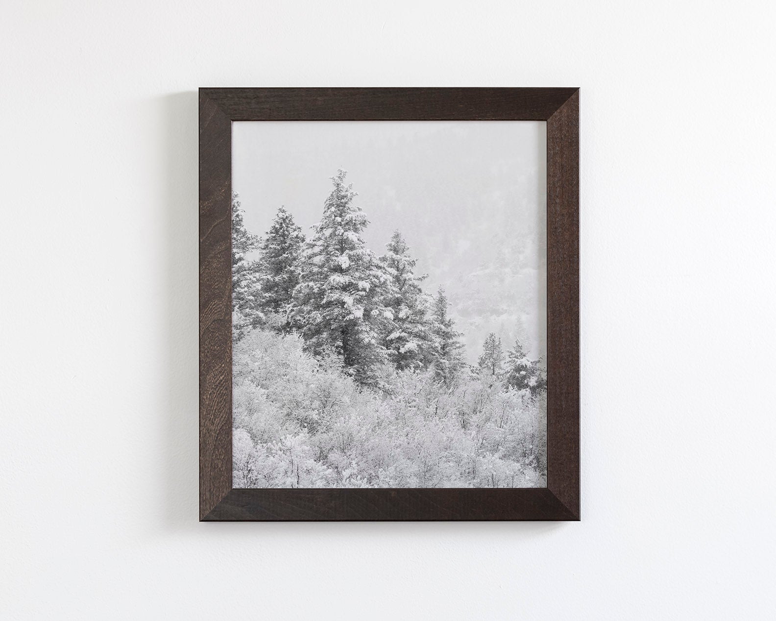 Winter Refresh