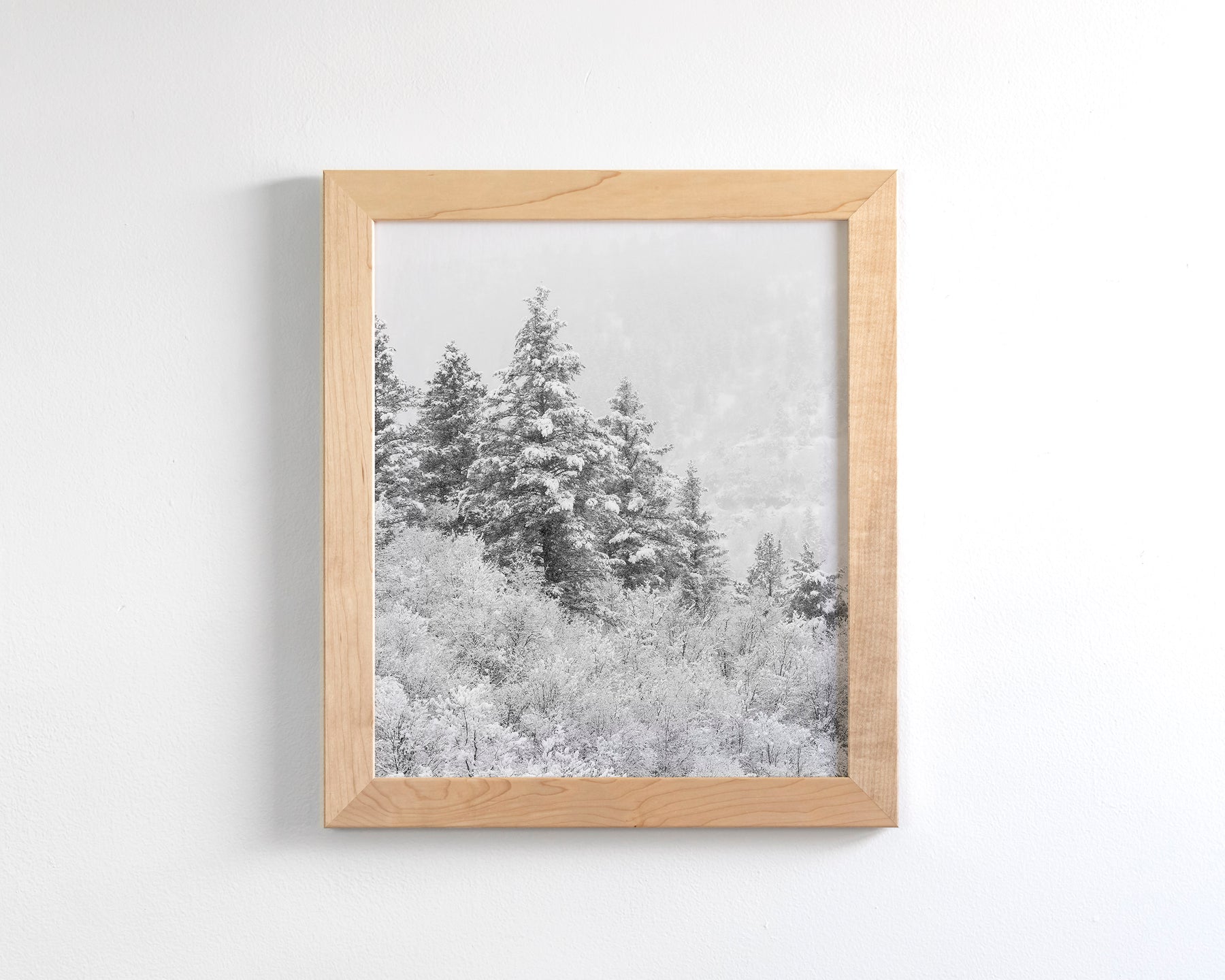 Winter Refresh