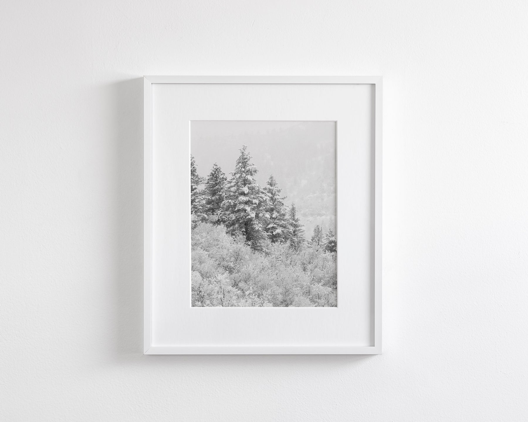 Winter Refresh