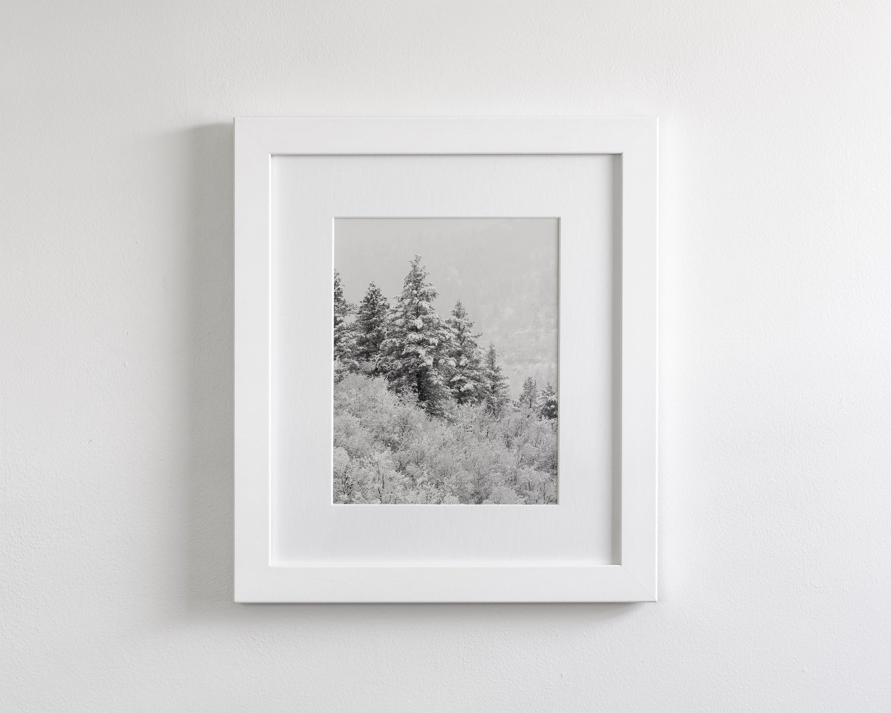 Winter Refresh