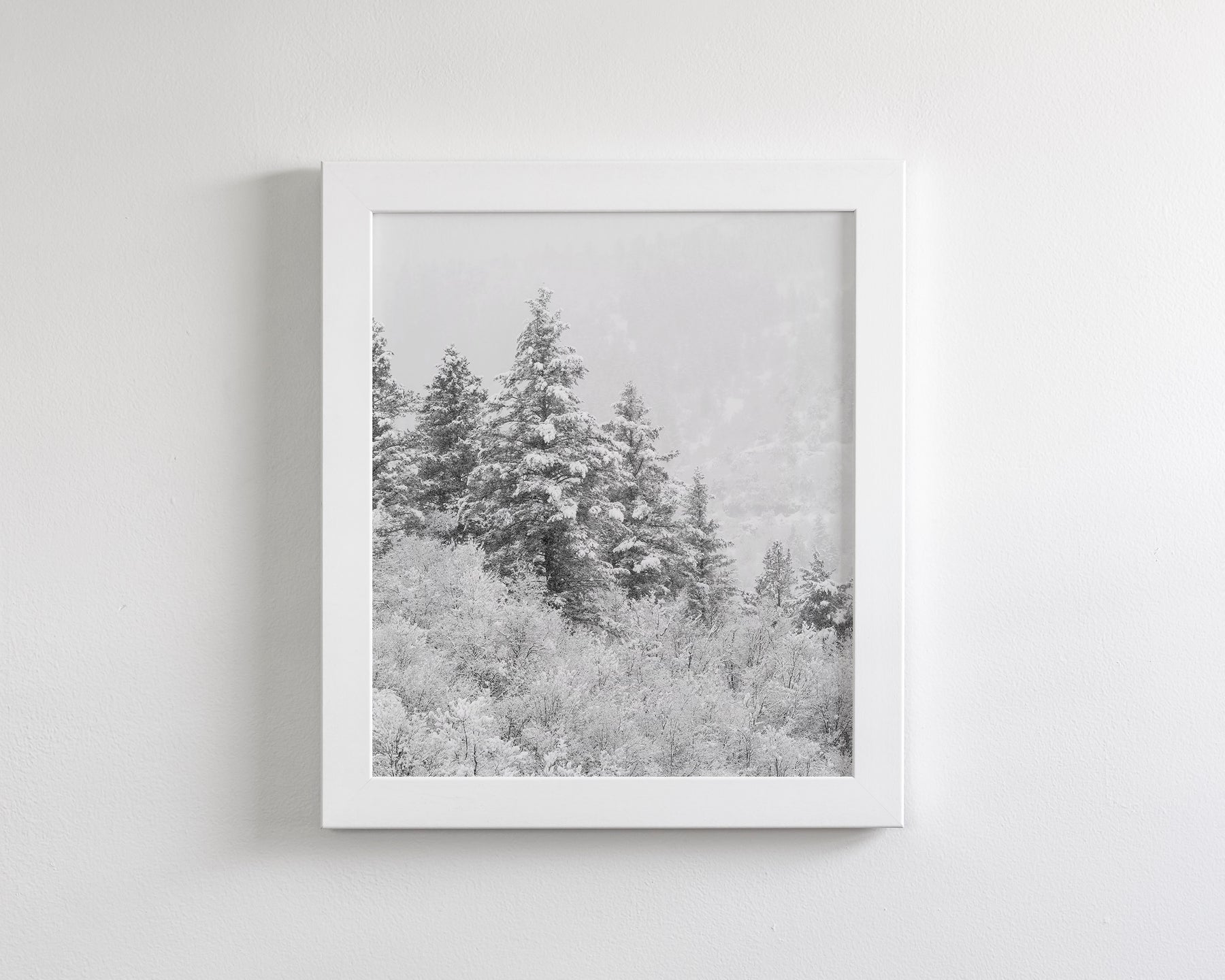 Winter Refresh