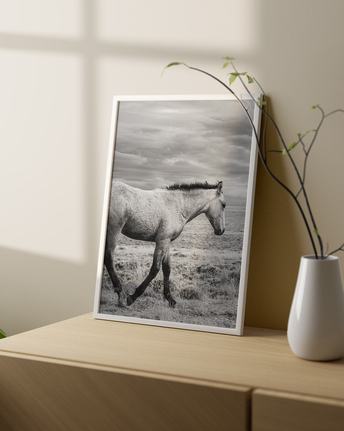 Young Buckskin Run