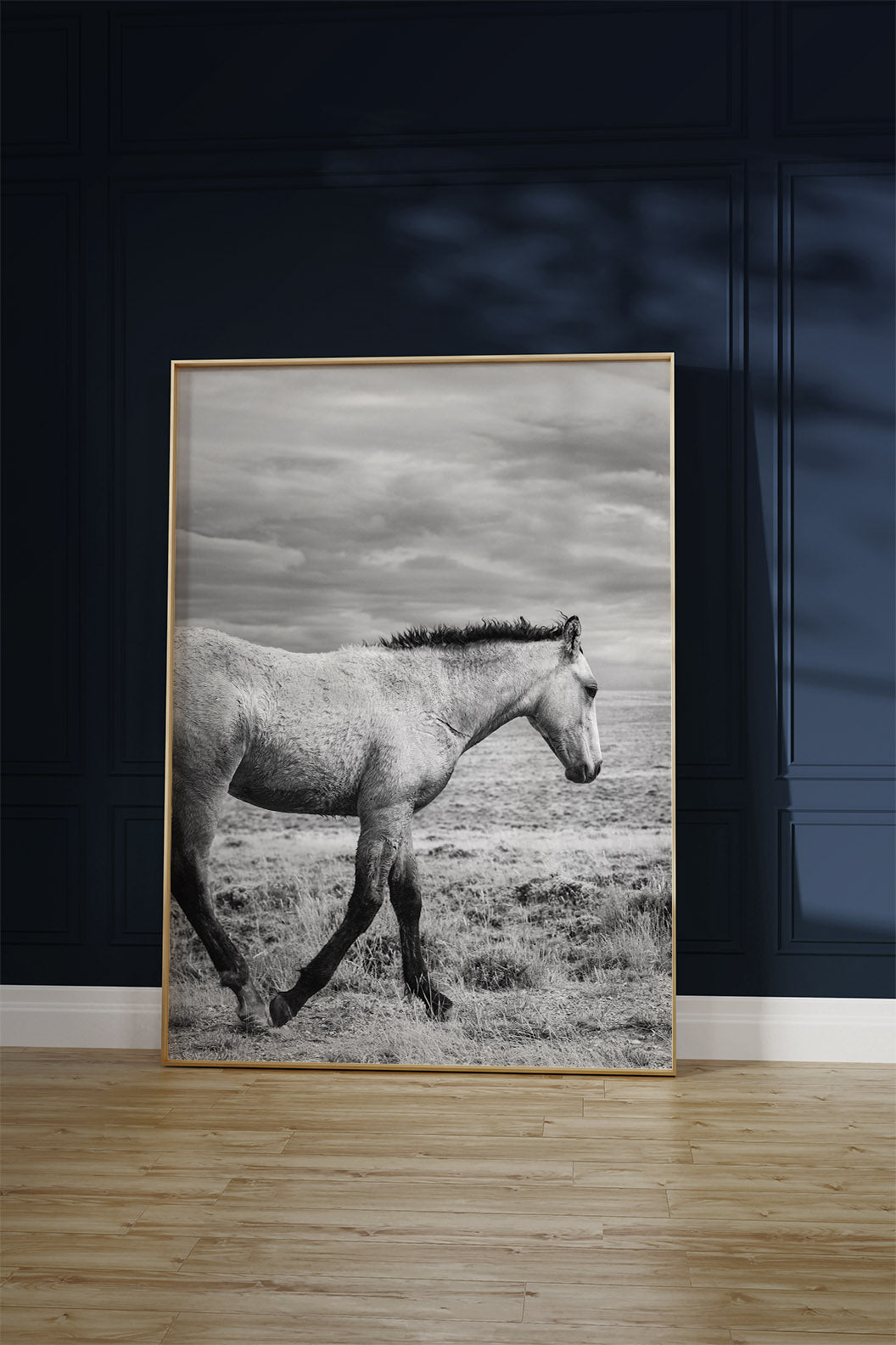 Young Buckskin Run