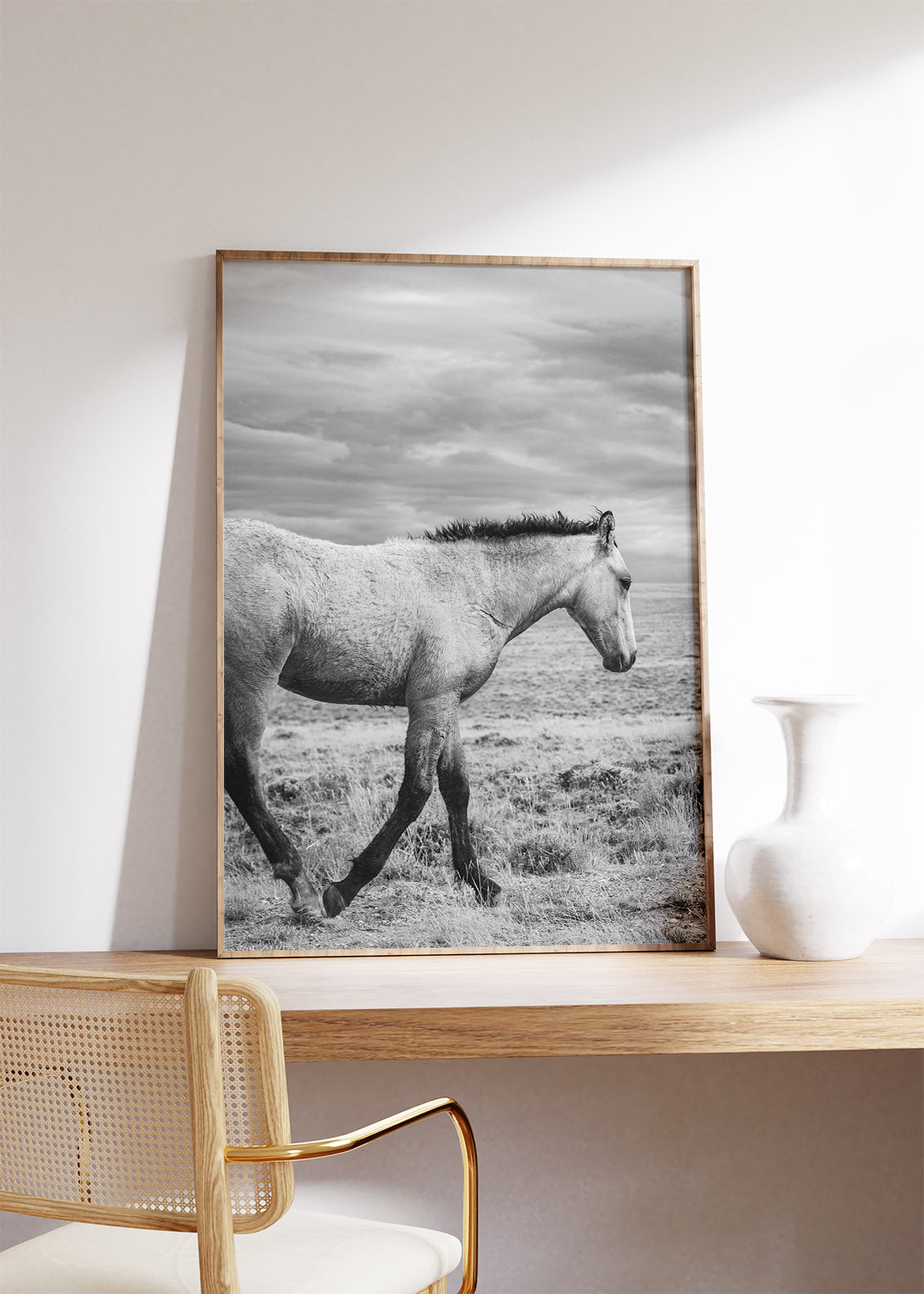 Young Buckskin Run