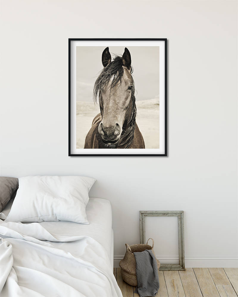 Desert Horse Portrait