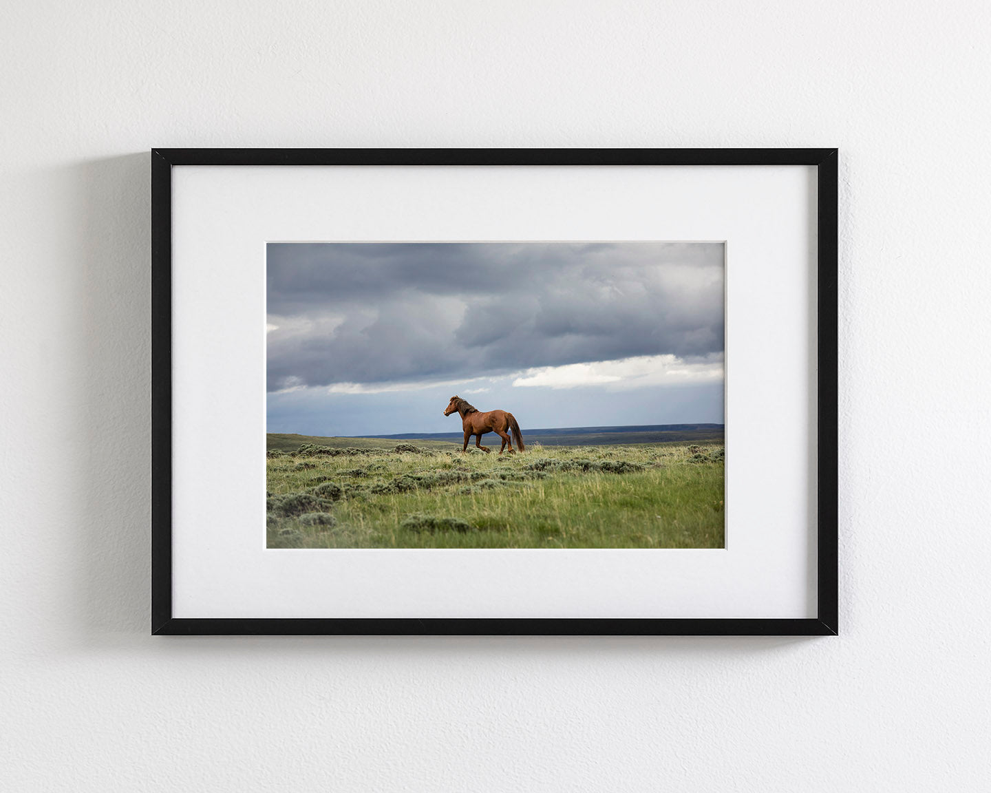 Mustang and Approaching Storm Photograph