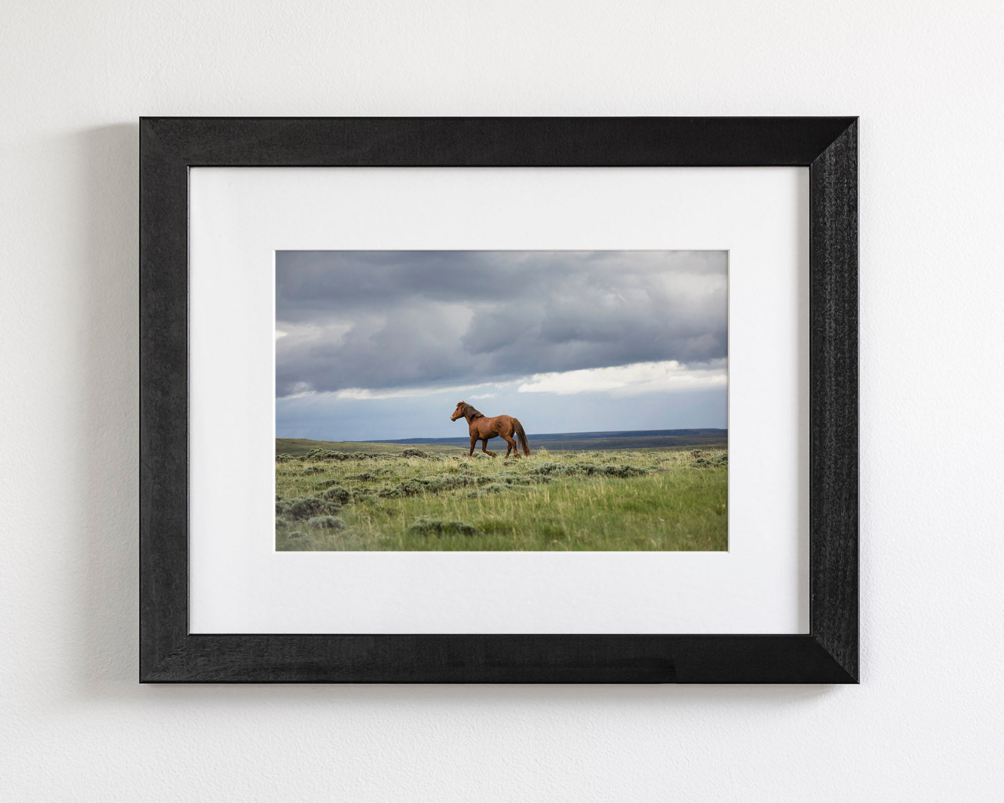 Mustang and Approaching Storm Photograph