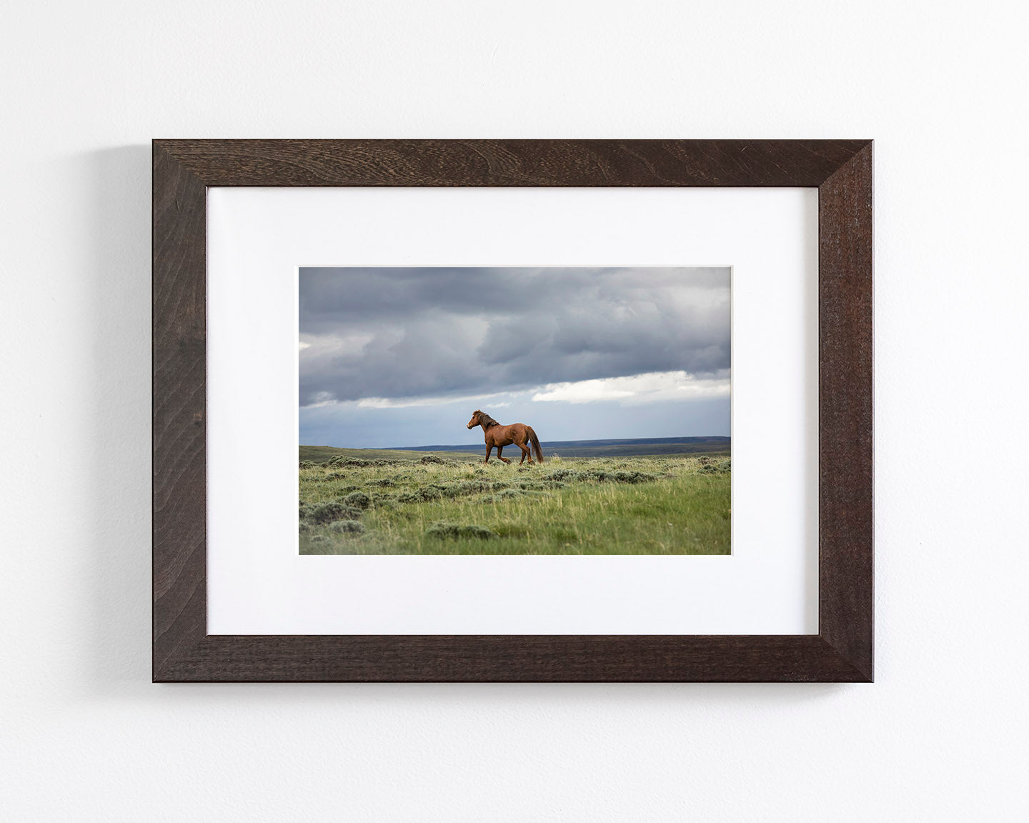 Mustang and Approaching Storm Photograph