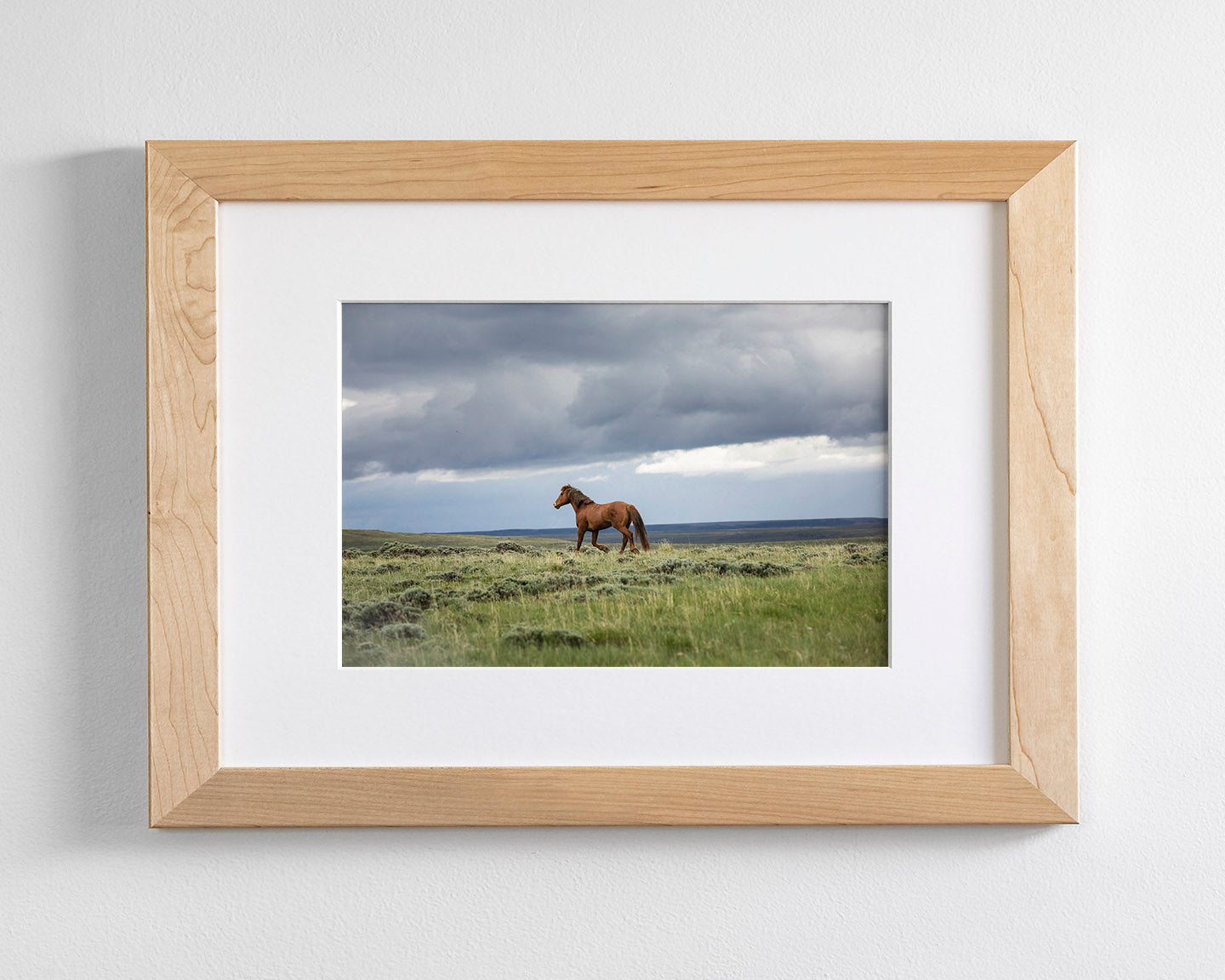 Mustang and Approaching Storm Photograph