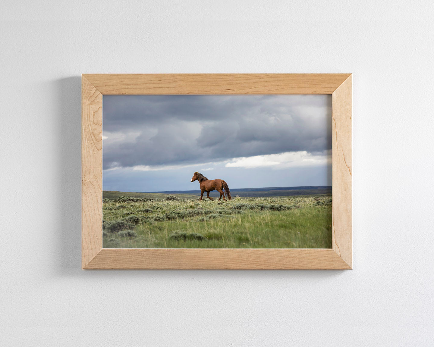 Mustang and Approaching Storm Photograph