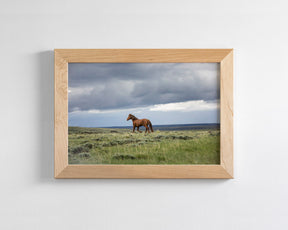 Mustang and Approaching Storm Photograph