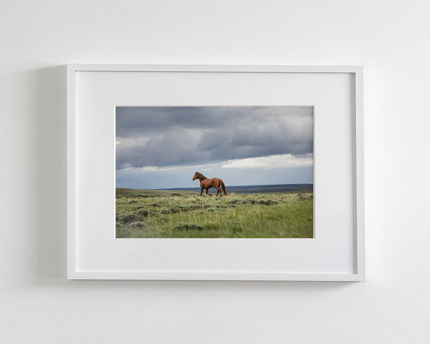 Mustang and Approaching Storm Photograph