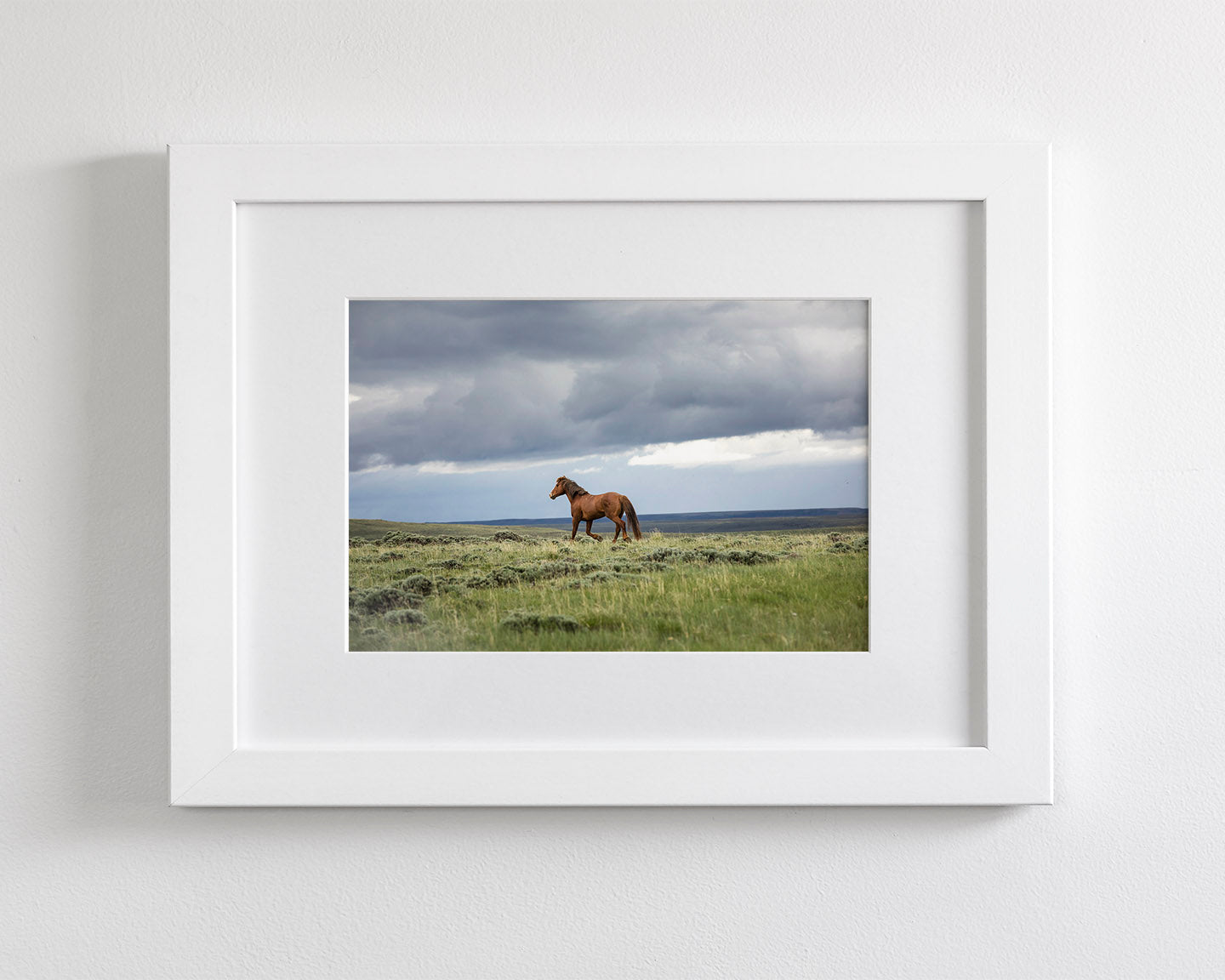 Mustang and Approaching Storm Photograph