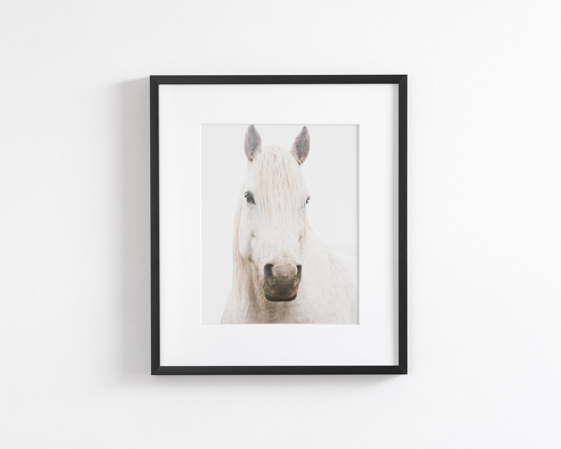 White Horse, Beautiful Gaze