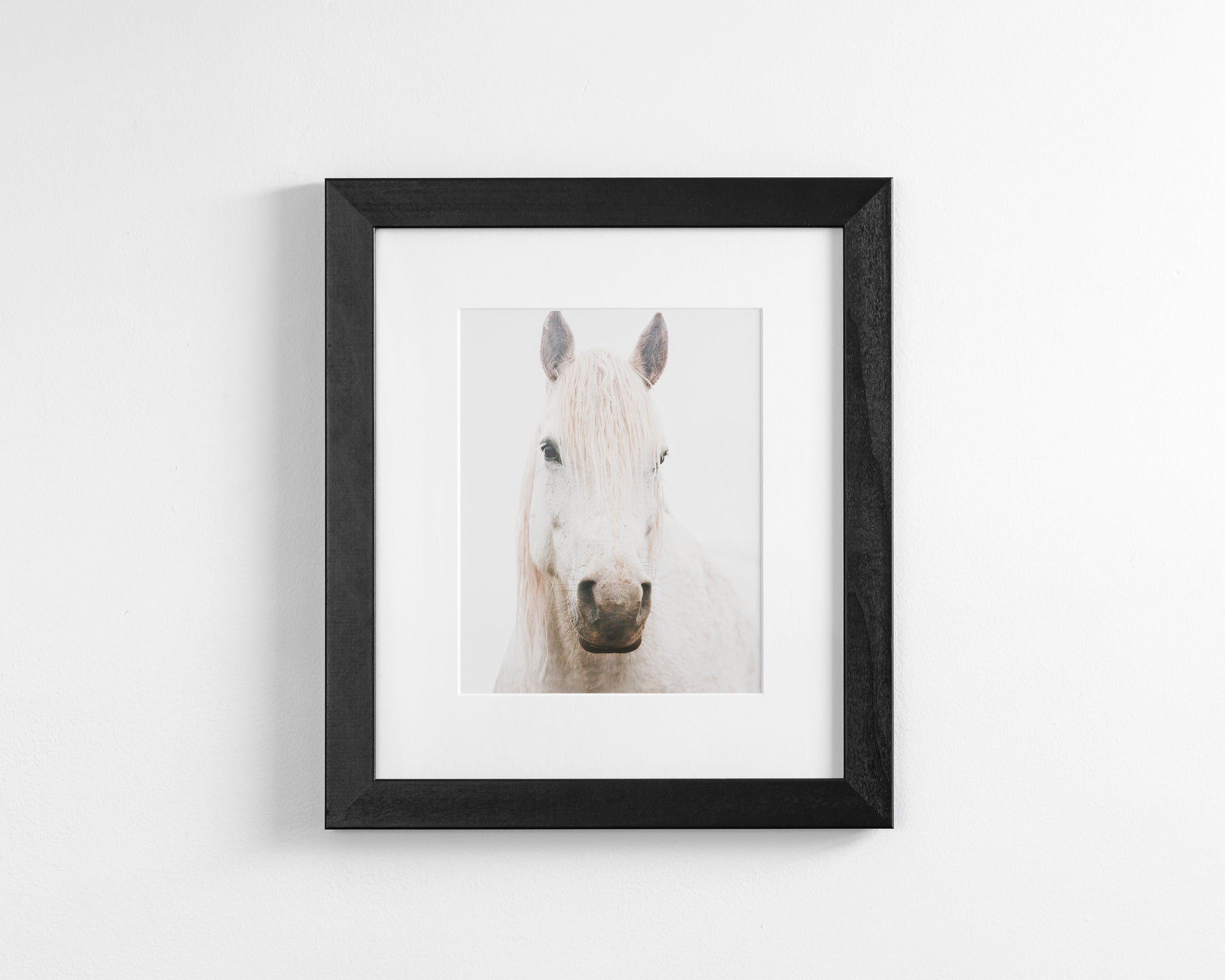 White Horse, Beautiful Gaze