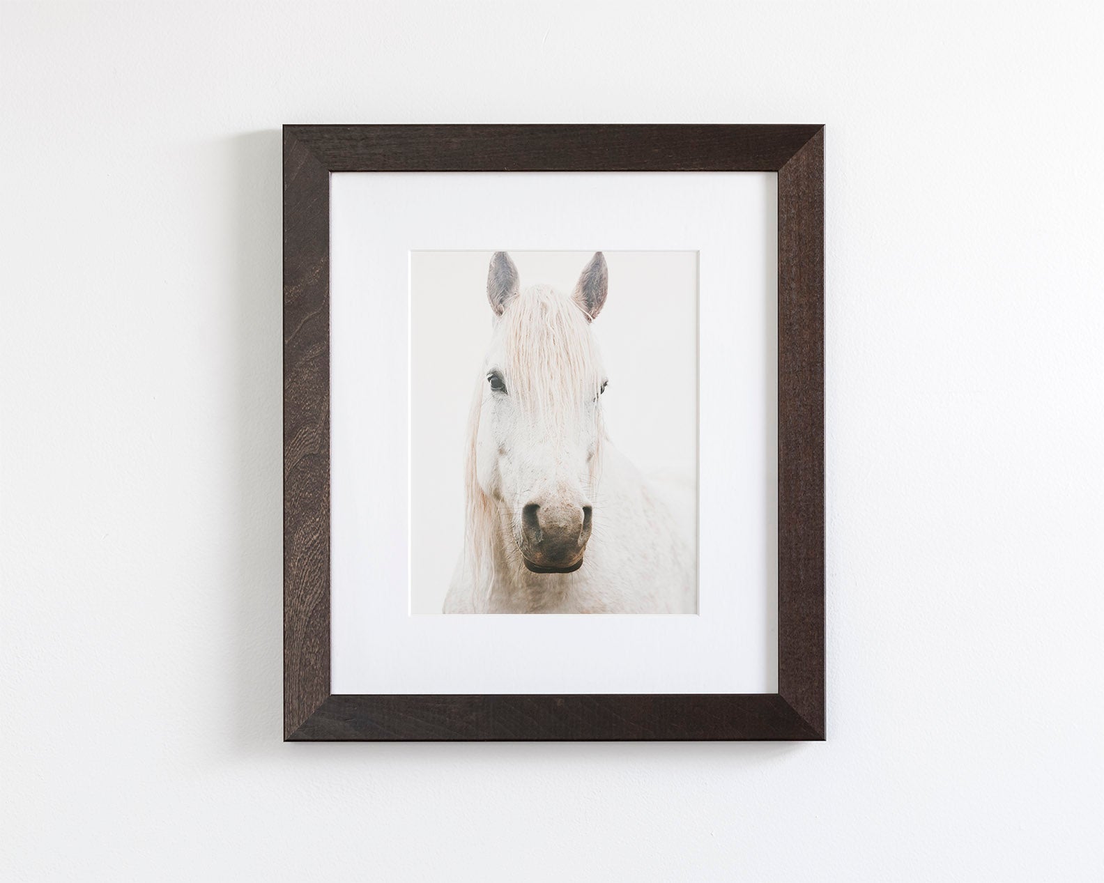 White Horse, Beautiful Gaze