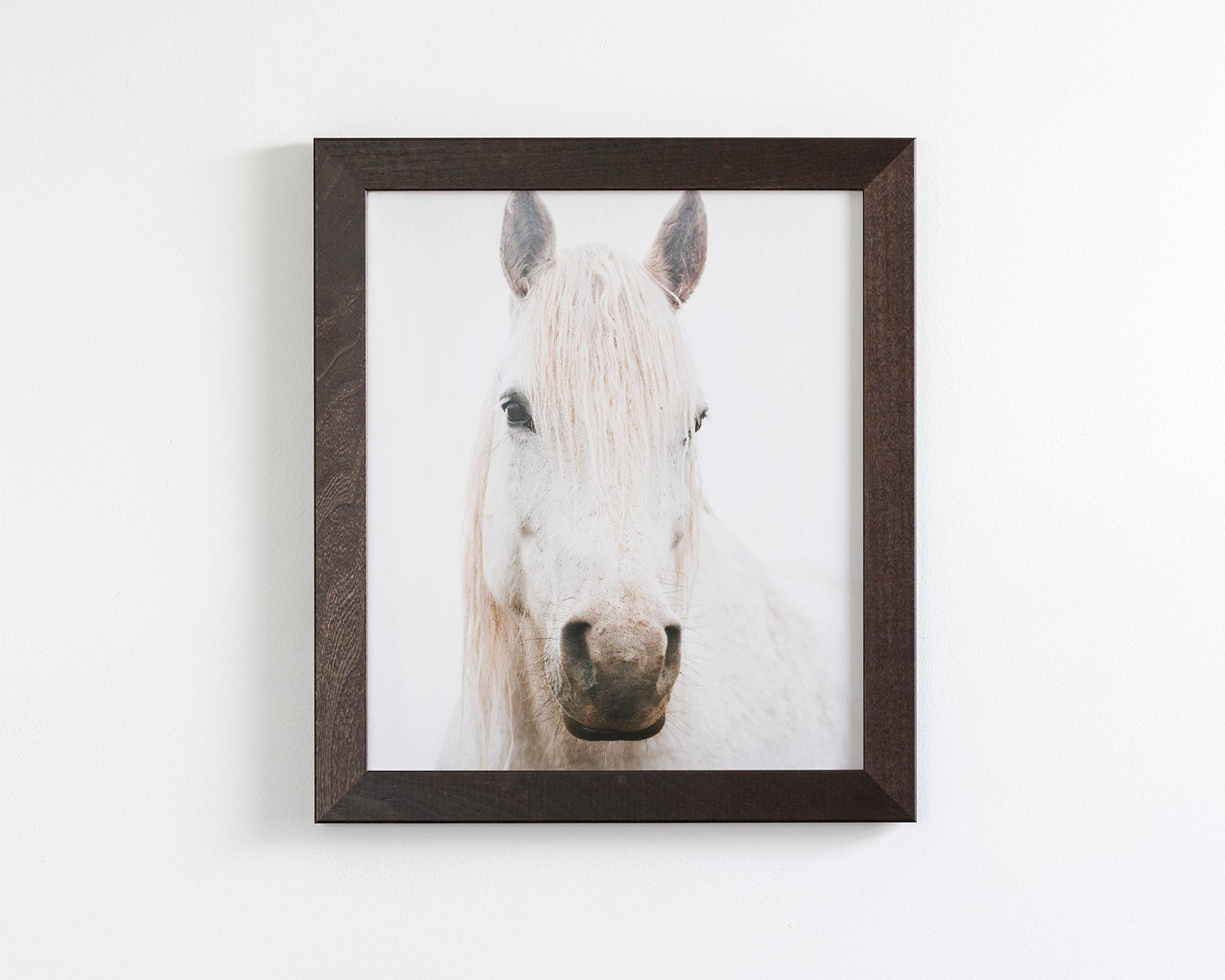 White Horse, Beautiful Gaze