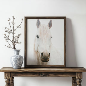 White Horse, Beautiful Gaze