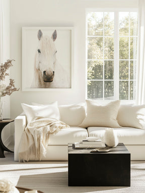 White Horse, Beautiful Gaze