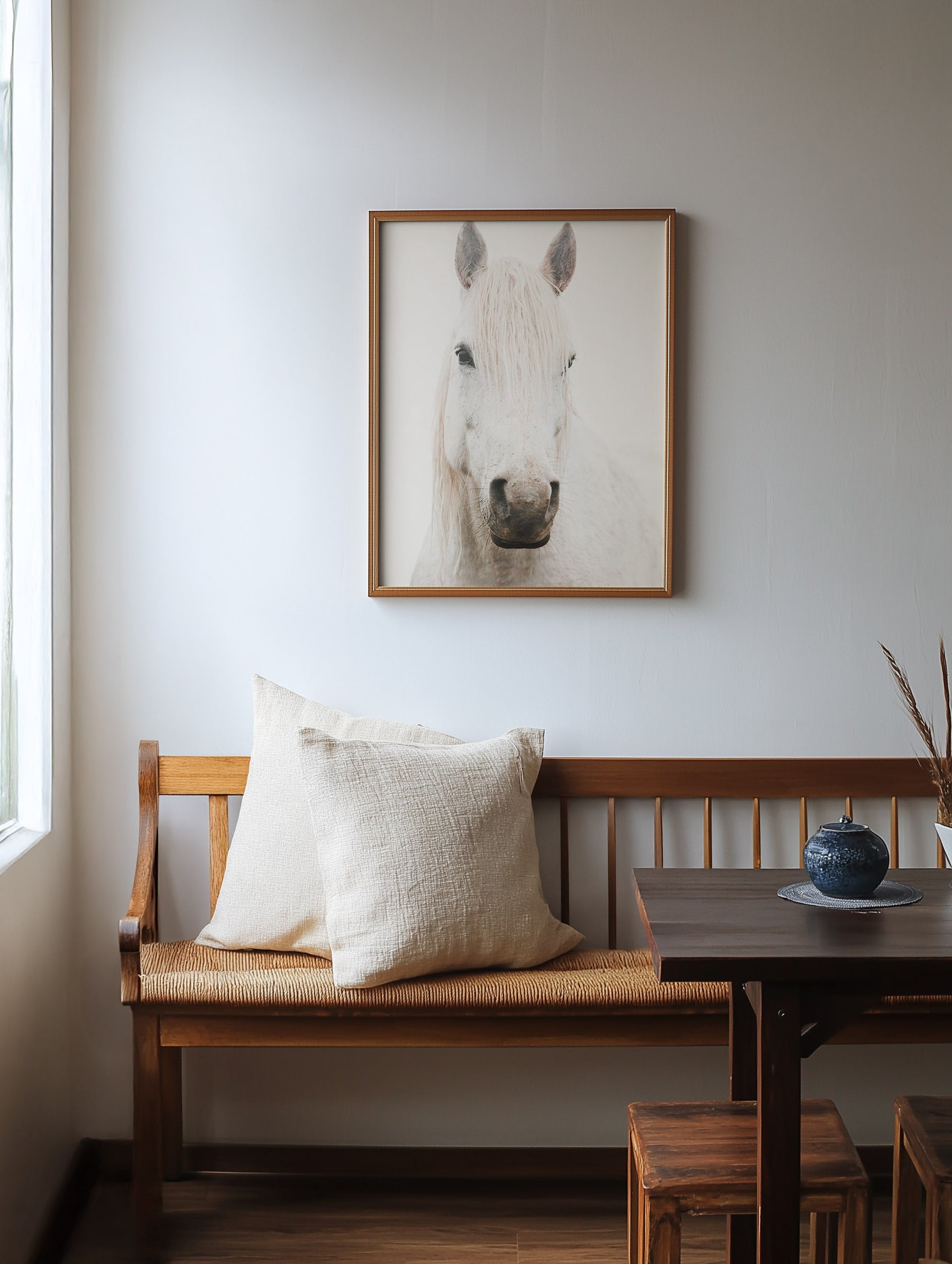 White Horse, Beautiful Gaze