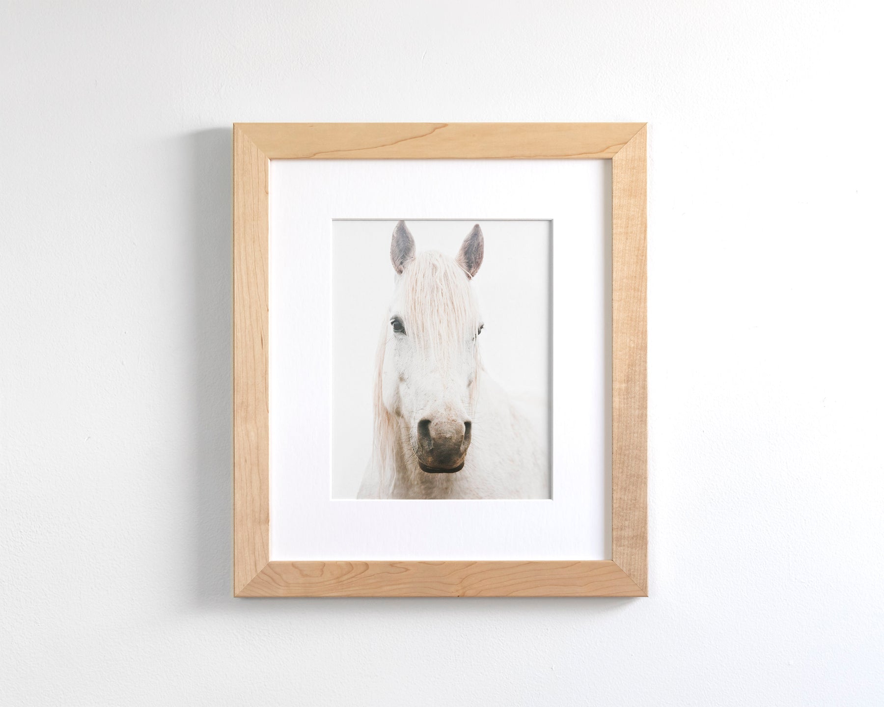 White Horse, Beautiful Gaze