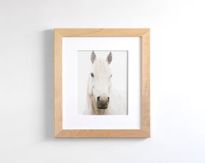 White Horse, Beautiful Gaze