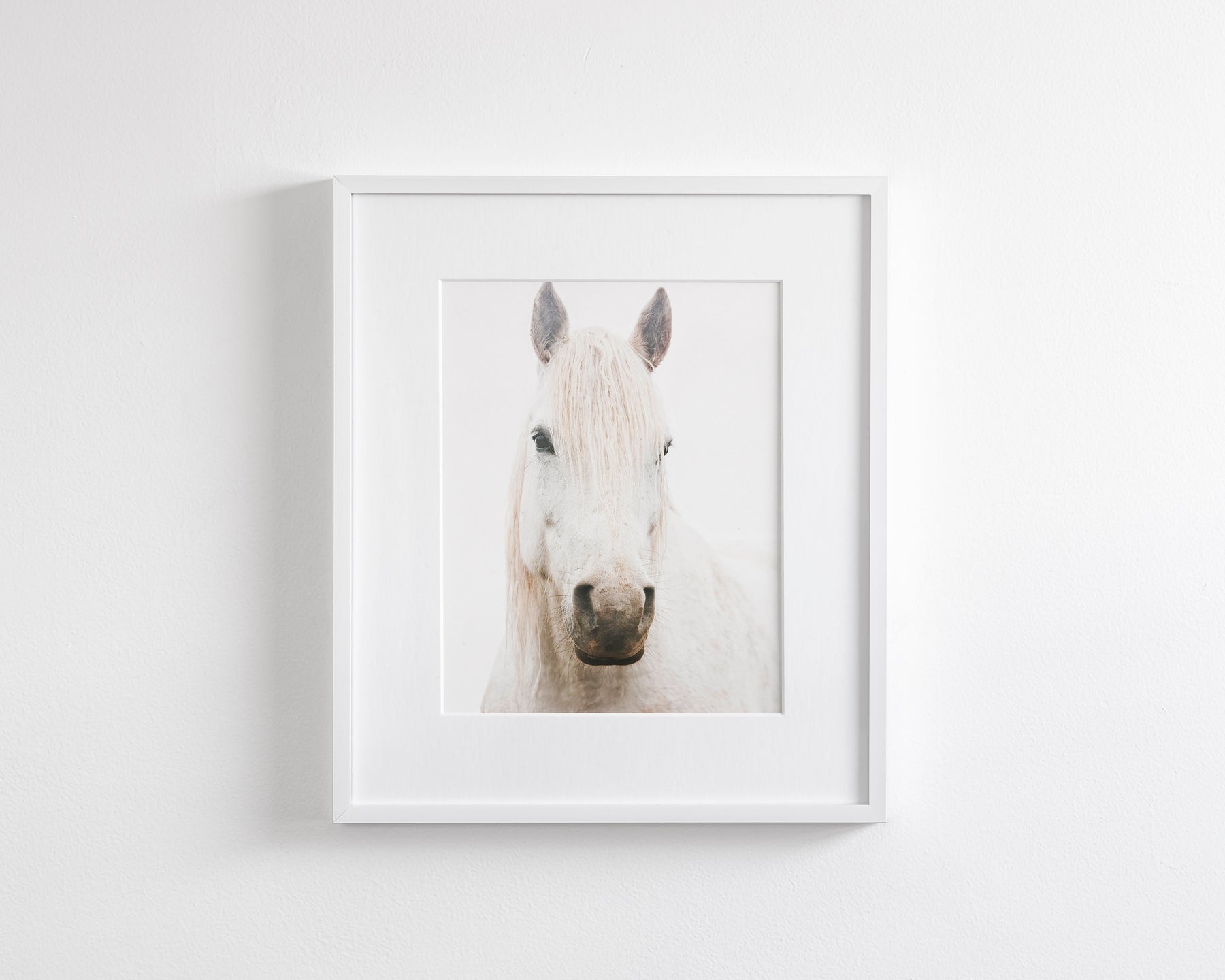 White Horse, Beautiful Gaze