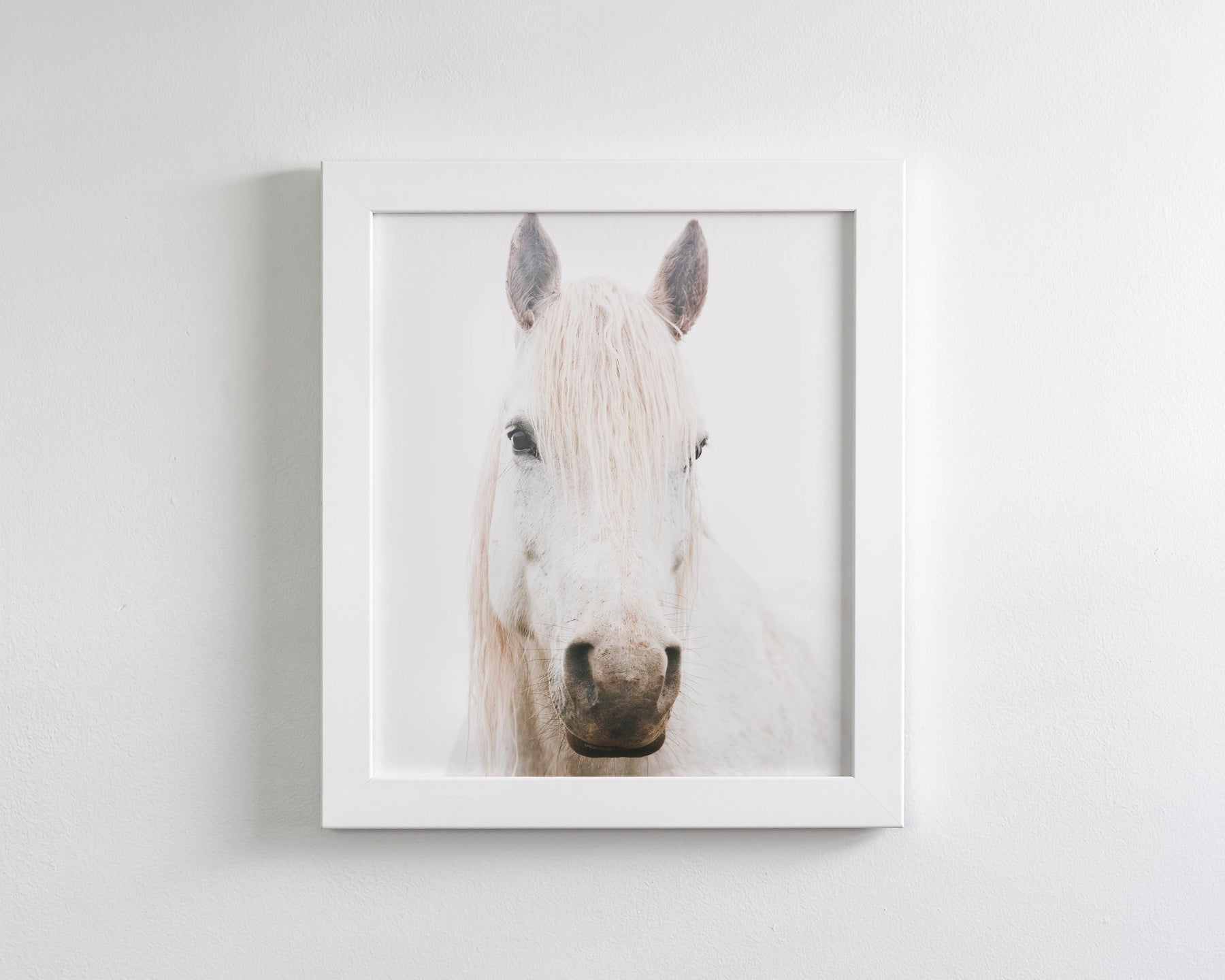 White Horse, Beautiful Gaze