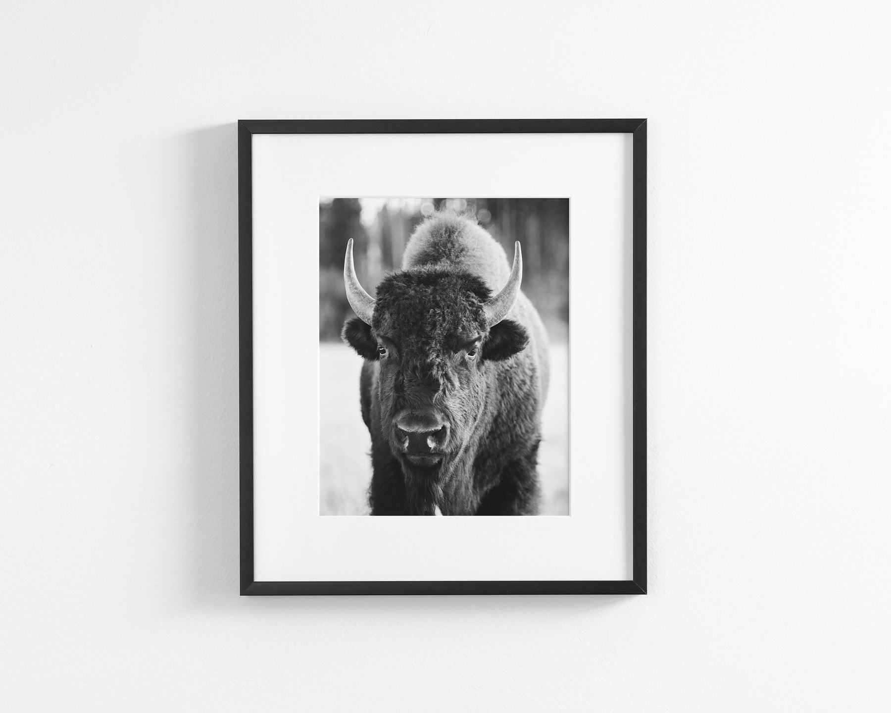 Bison, Vertical