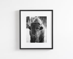Bison, Vertical