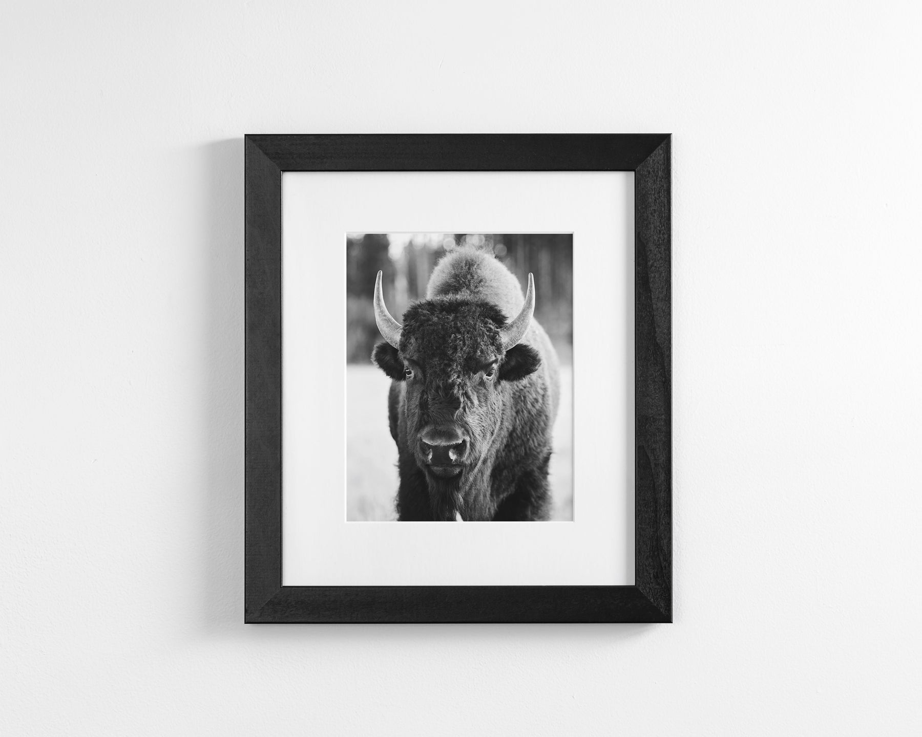 Bison, Vertical