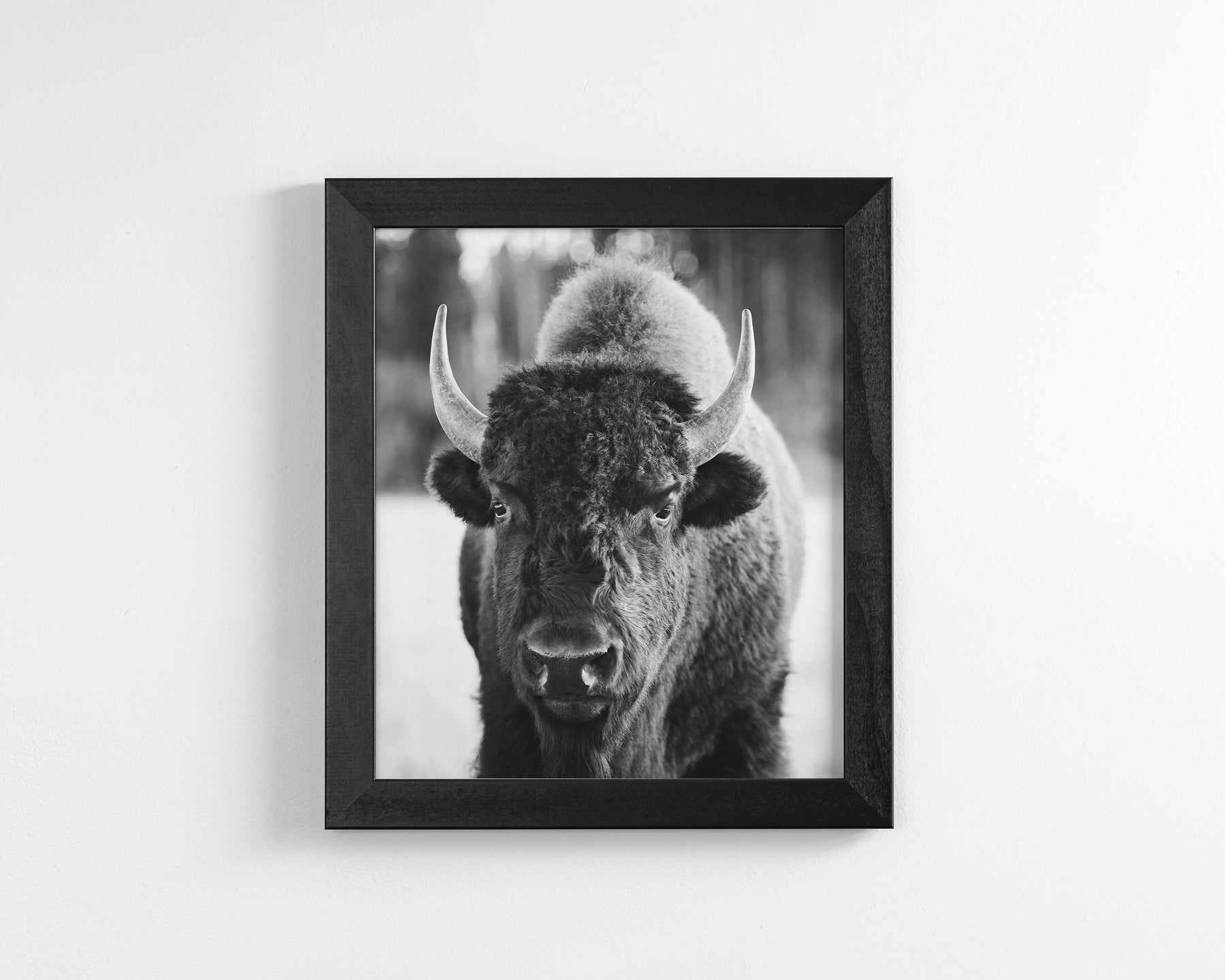 Bison, Vertical