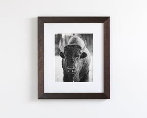 Bison, Vertical