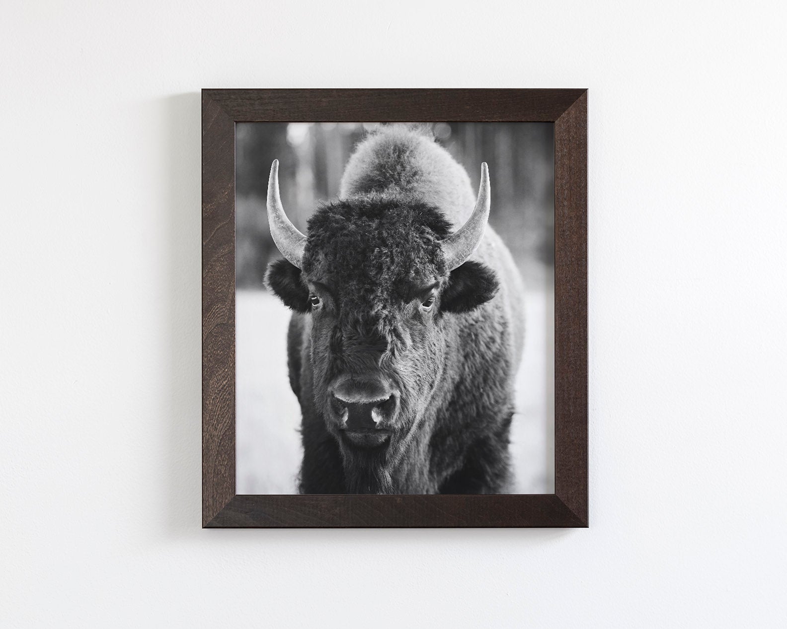 Bison, Vertical