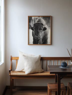 Bison, Vertical