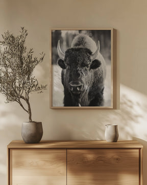 Bison, Vertical