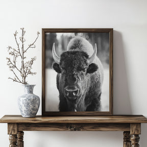 Bison, Vertical