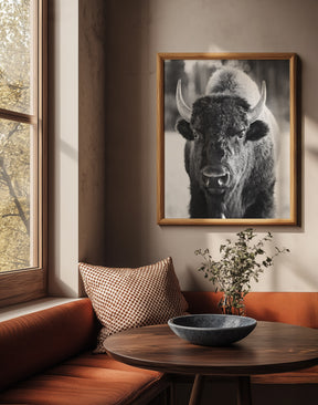 Bison, Vertical