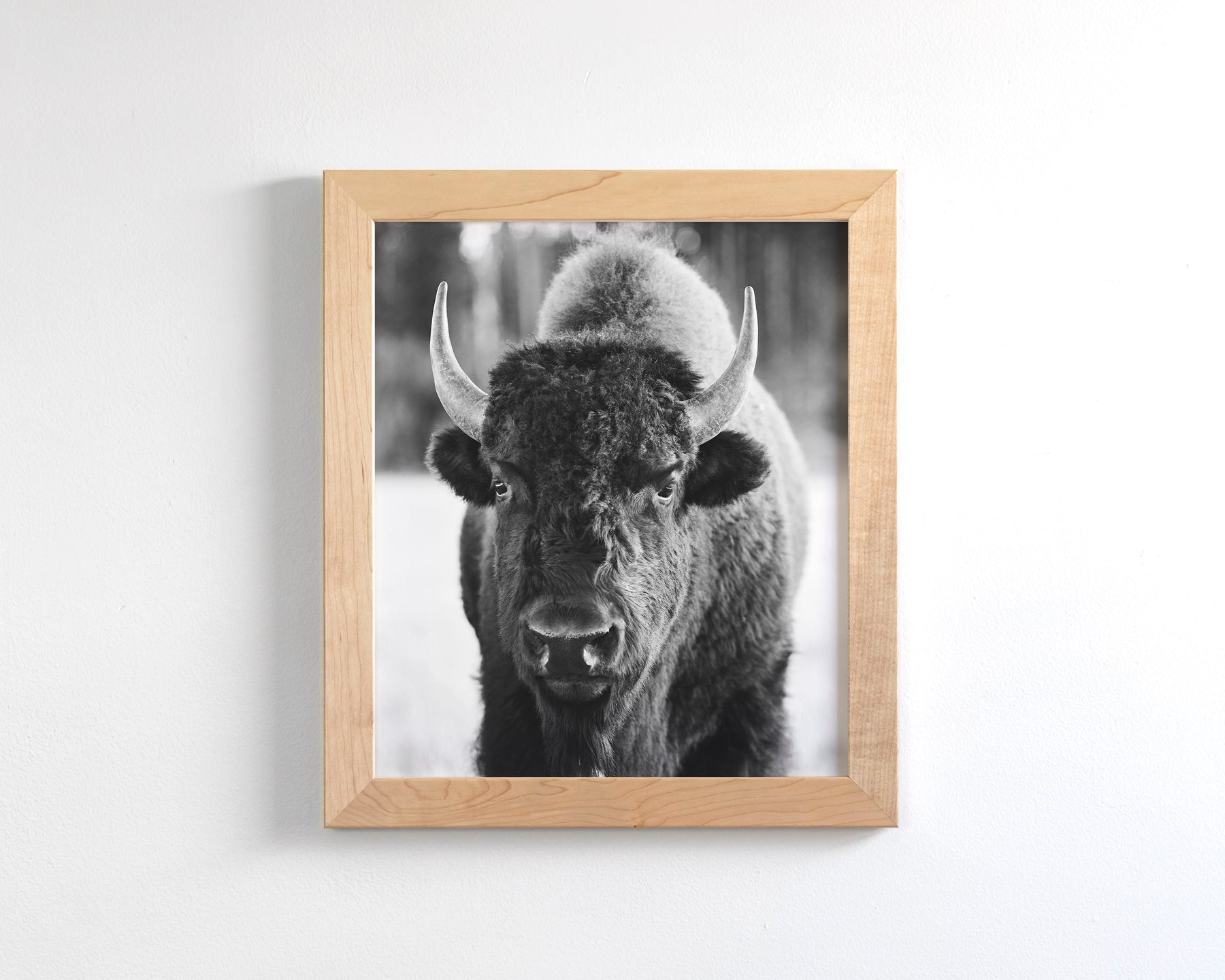 Bison, Vertical