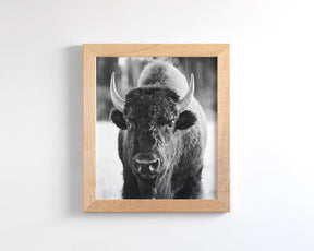 Bison, Vertical