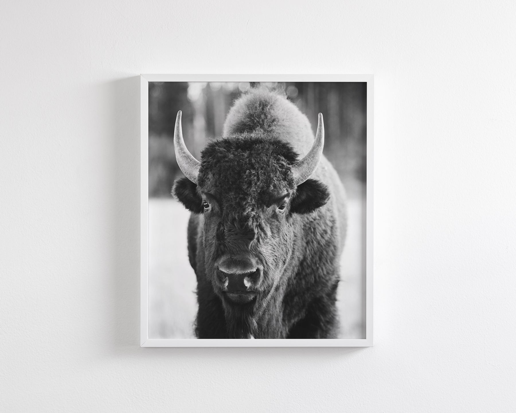 Bison, Vertical