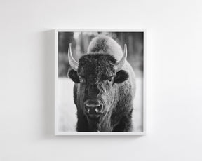 Bison, Vertical